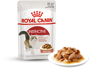 Изображение мини корма Royal Canin