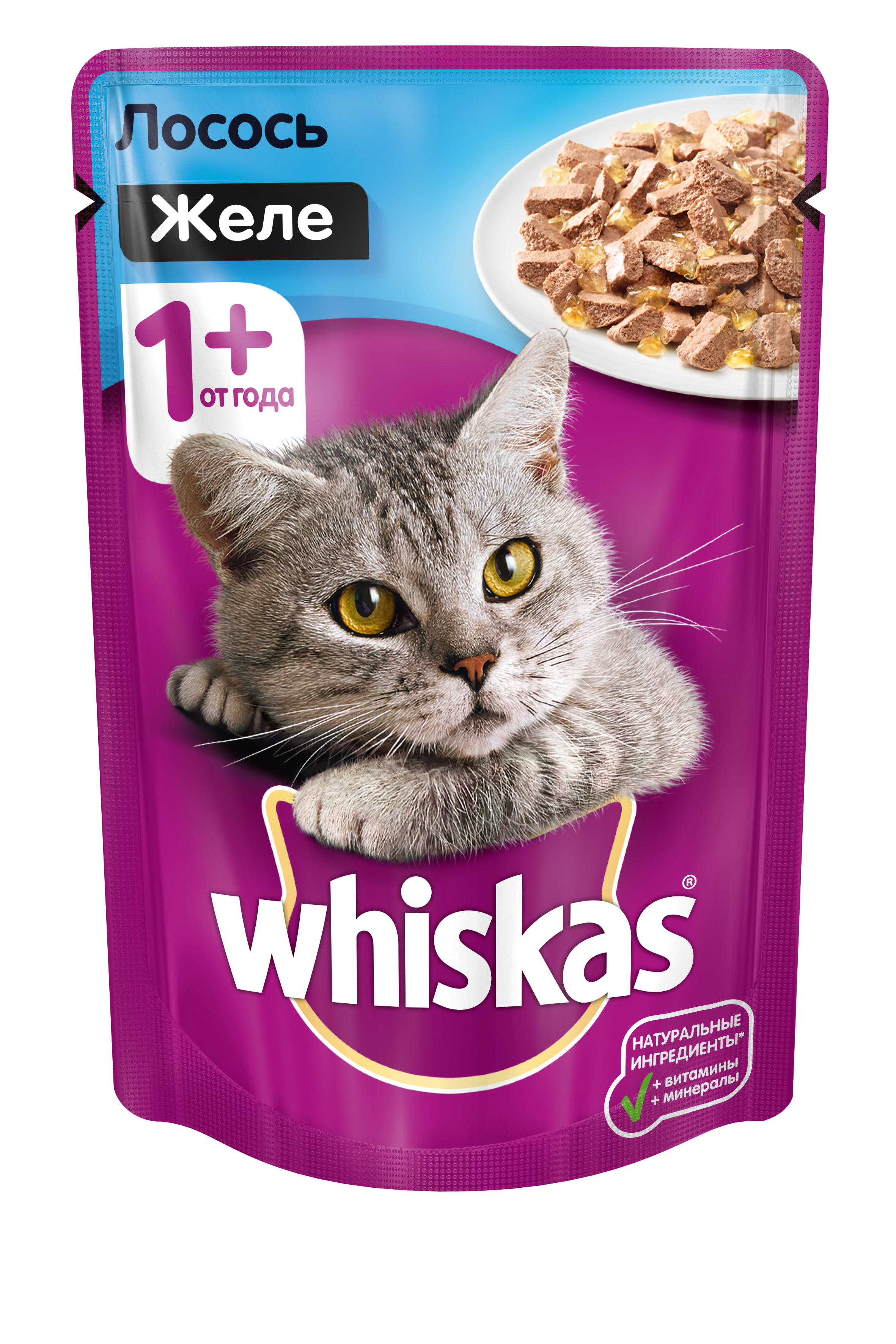 Купить влажный корм для кошек в спб. Корм для кошек Whiskas 85гр. Whiskas пауч 7+ рагу с ягненком 75гр. Whiskas паштет 85г. Корм вискас желе индейка 85г.