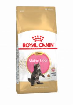 Купить Royal Canin Киттен Мейн-кун 4 кг
